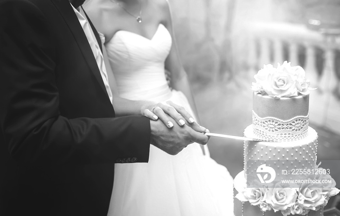 A bride and a groom is cutting their wedding cake. beautiful cake. nicel light. wedding concept. black and white photo