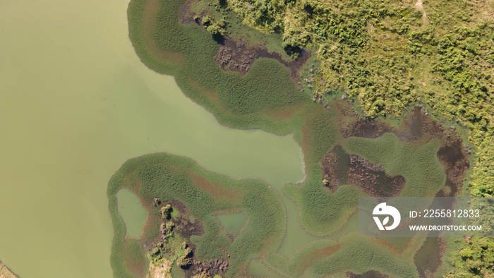 swamp in the forest view from drone. wetland landscape. View of an impassable swamp from height. Aerial photography Wild forest landscape.