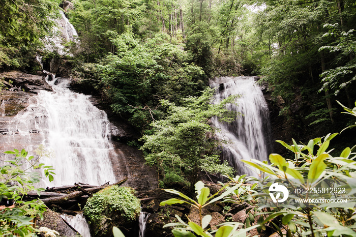 North Georgia Mountains Forest Waterfall