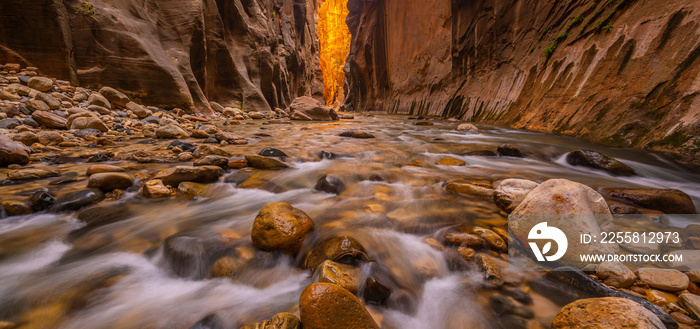 Amazing landscape of canyon in Zion National Park, The Narrow