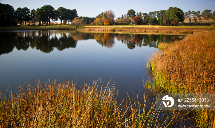 autumn landscape Dullstroom