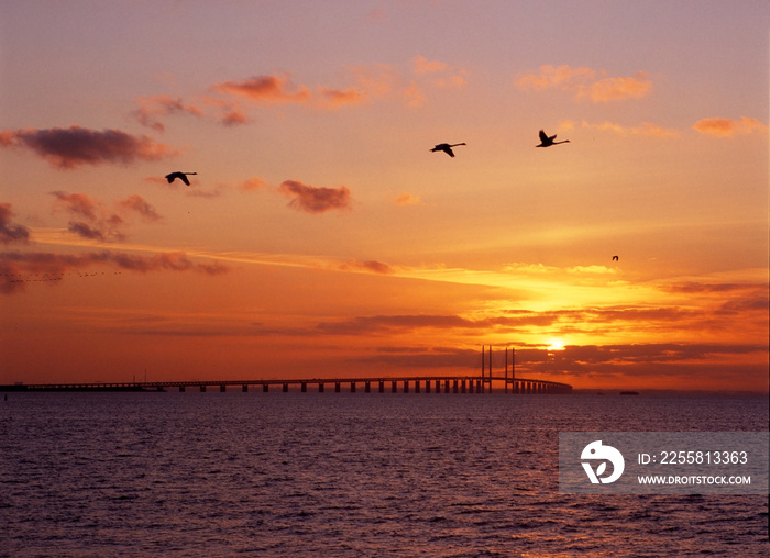 スウェーデンとデンマークをつなぐ橋　オーレスン橋 Oresund Bridge