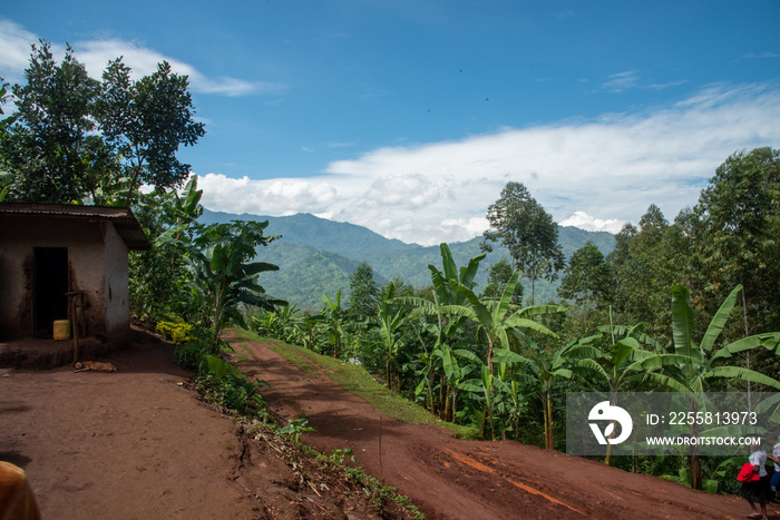 Ugandan Road