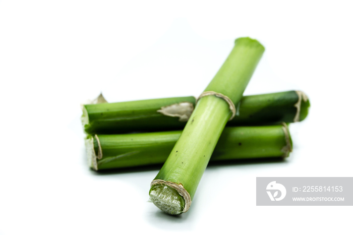 Bamboo isolated on white background