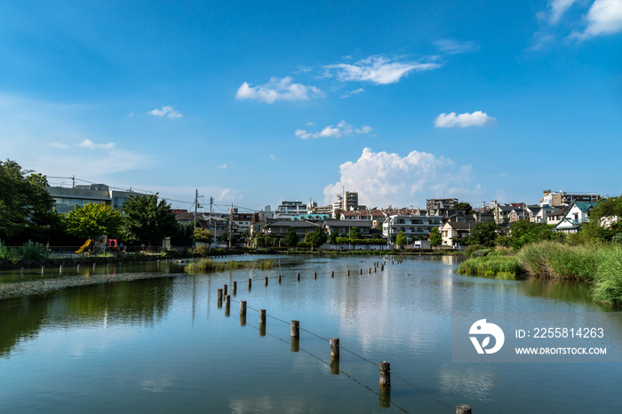 東京大田区　小池公園３