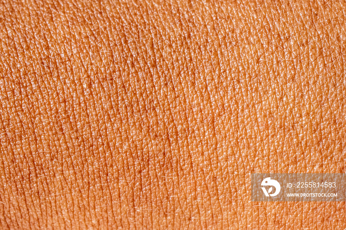 tanned human skin close up abstract background