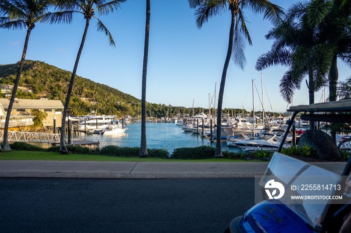 tourists walking at hamilton island in queensland Australia, during summer at the great barrier reef