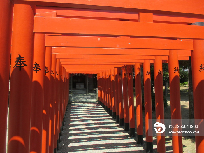 熊本市の水前寺成趣園内にある稲荷神社の赤い鳥居