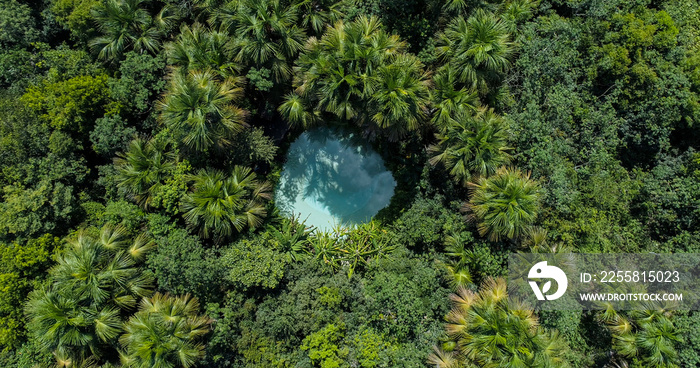 Natural swimming pool in Jalapão National Park