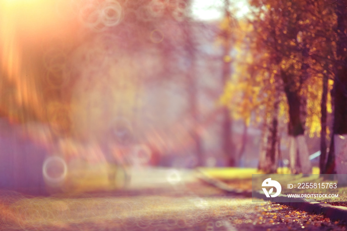 blurred background path in autumn city park