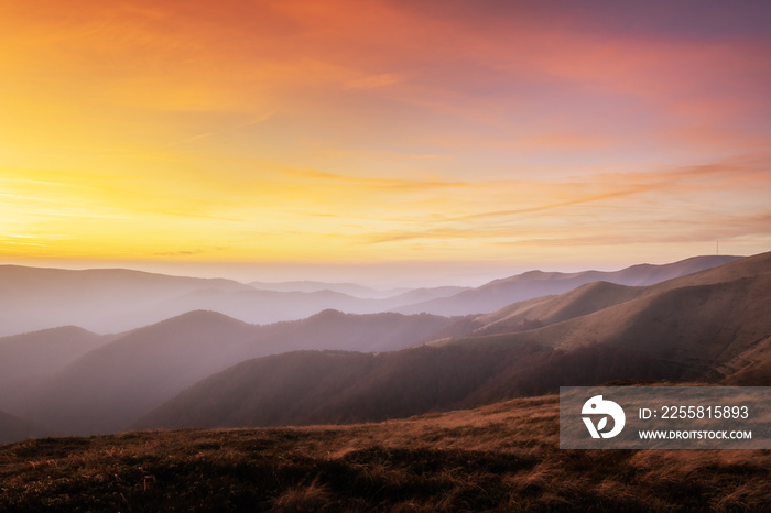 Picturesque autumn mountains with red beech forest in the Carpathian mountains, Ukraine. Landscape photography