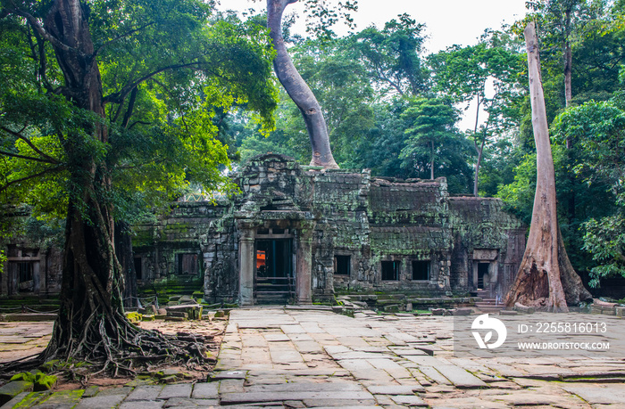 Ta Prohm temple in Angkor Cambodia Asia