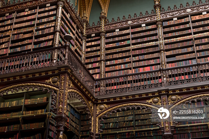 Beautiful Decorated Shelves Full of Antique Books