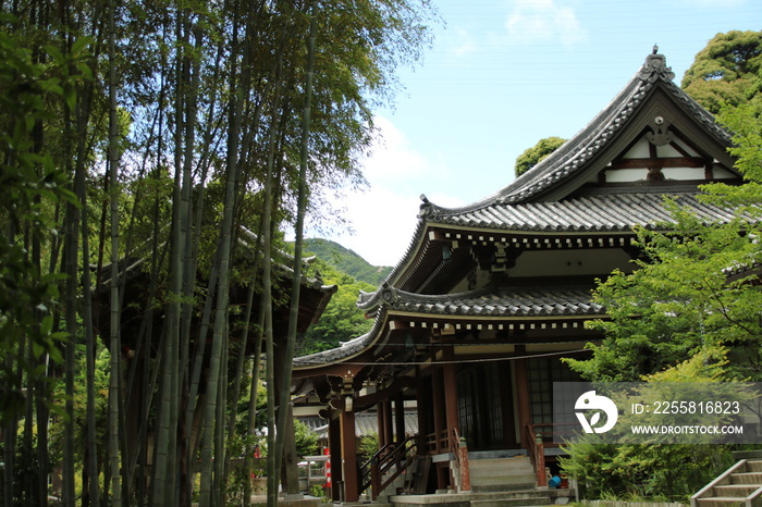 日本の寺院　毘沙門山妙法寺(神戸市須磨区)本堂と竹林