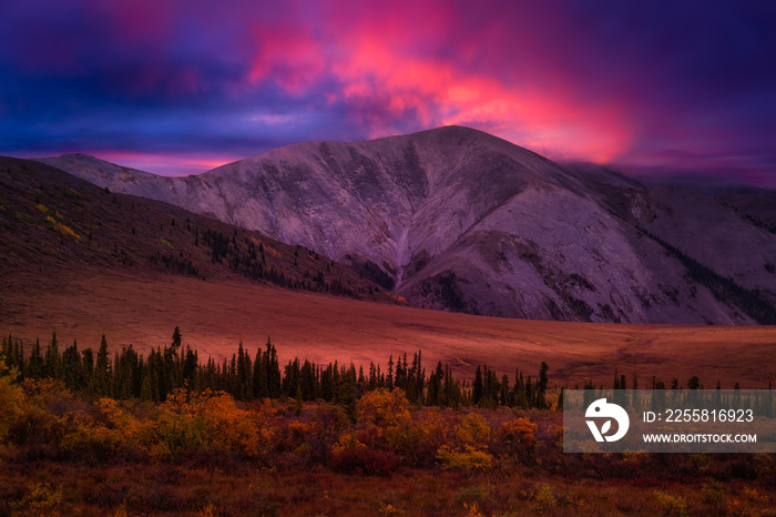 Beautiful View of Scenic Landscape on a Fall Season in Canadian Nature. Colorful Twilight Sky Artistic Render. Taken in Tombstone Territorial Park, Yukon, Canada.