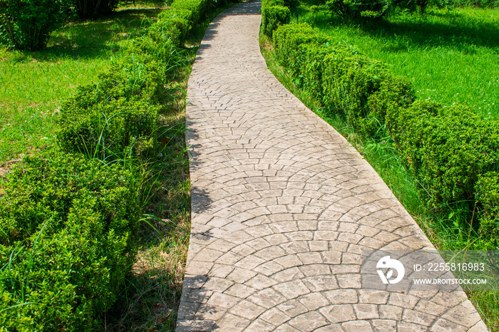 Paved path in the park. Summer. Green bushes around the edge. Landscape design