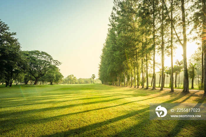 Scenery green golf and meadow with sunbeam in morning, Wonderful sunbeam at the natural park, Scenery fairway with trees and green grass field