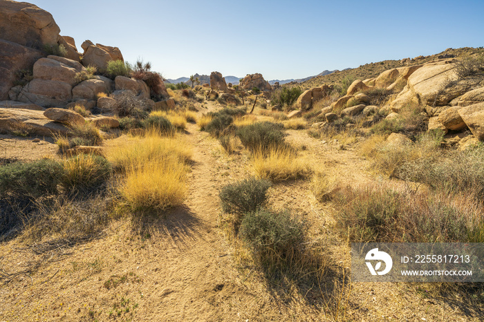 hiking the maze loop in joshua tree national park, california, usa