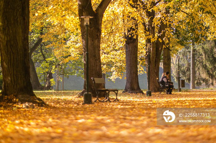 Złota jesień - Park miejski w Zamościu