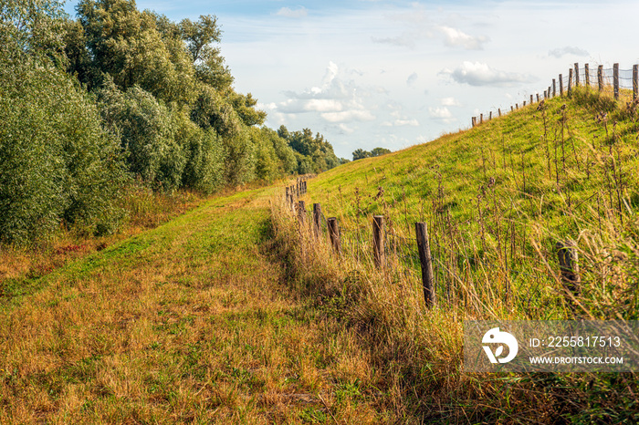 Fences on the top and the bottom of a Dutch dike. It is autumn and the grass and wild plants are already turning yellow and orange. But the leaves are still on the trees.