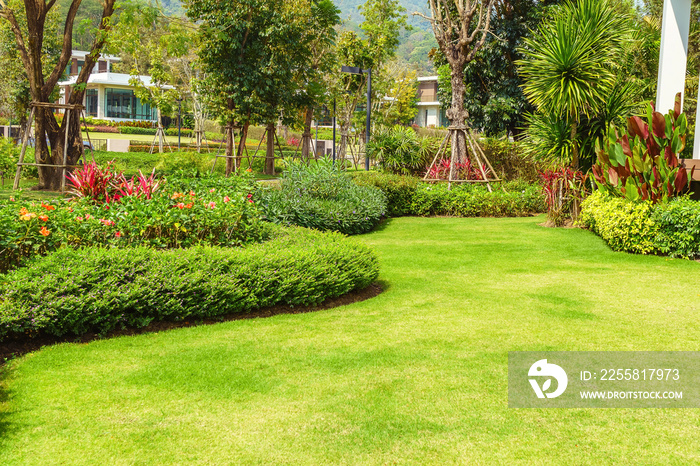 Landscape design, Peaceful Garden, Green garden and lawn., Green lawn, The front lawn for background.