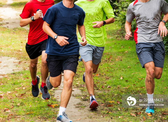 Group of boys running together on grass path