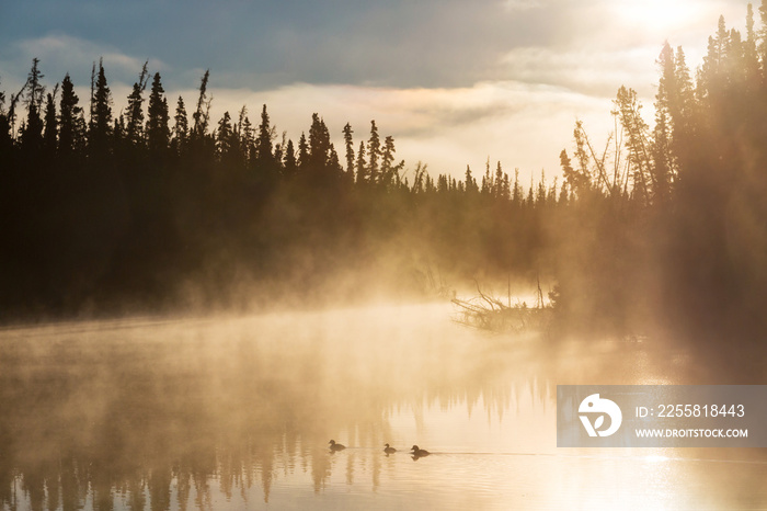 Lake on sunrise