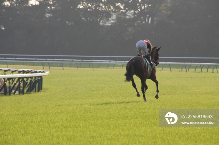 horse riding on a track