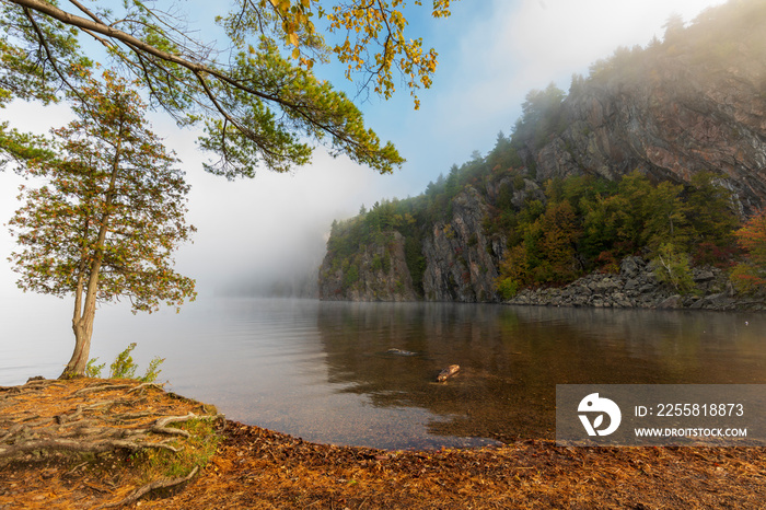 Misty morning in Bon Echo