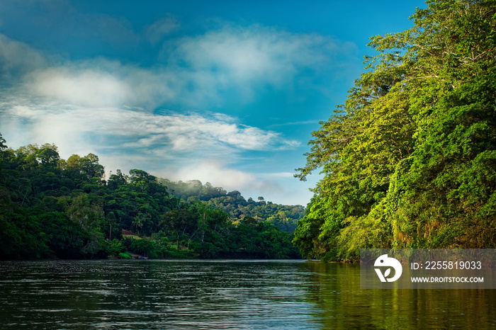 Costa Rica landscape from Boca Tapada, Rio San Carlos. Riverside with meadows and cows, tropical cloudy forest in the background. View from the boat