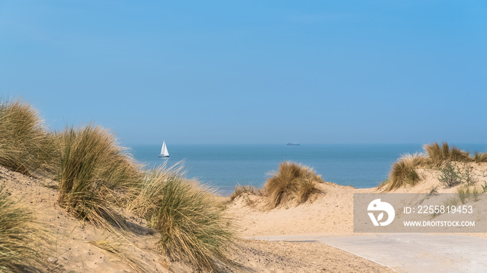 Beach of the North, Belgium, with a sailboat and a cargo boat in background