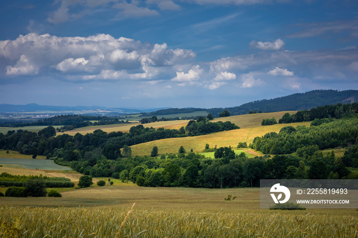 A mountain landscape, view to Bardzkie Mountains, Klodzka Valley, Poland. Golden cereal fields, green forest, cloudy sky, summer day.