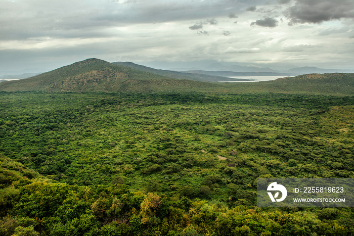 Panoramic view to Mago National Park at Omo valley, Etiopia