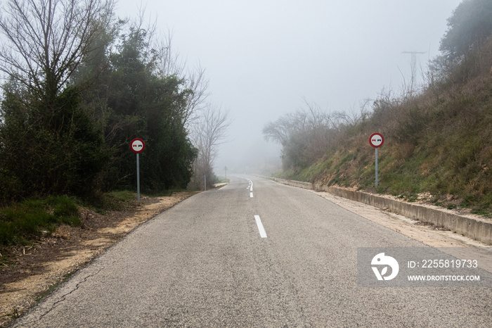 Empty road, in a day of intense fog, and trees to the sides.