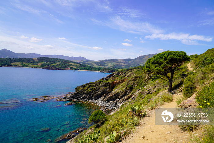 Anse Sainte Catherine between Port-Vendres and Banyuls-sur-Mer coast sea in the Pyrenees-orientales France