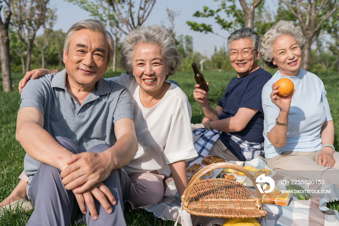 老年夫妻春游野餐