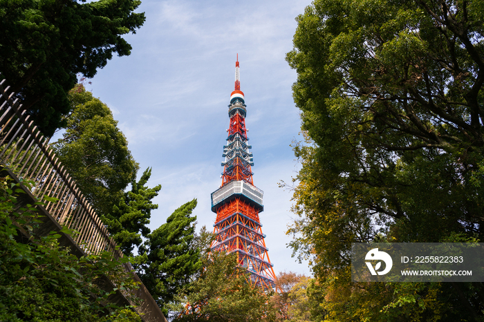 日本东京塔