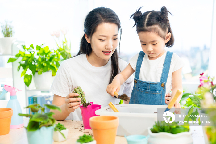 快乐的母女俩在家种植盆栽