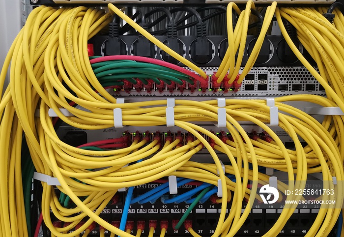 Network switch and Ethernet vlan cables to server