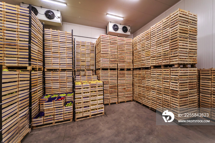 Fruits in crates ready for shipping. Cold storage interior.