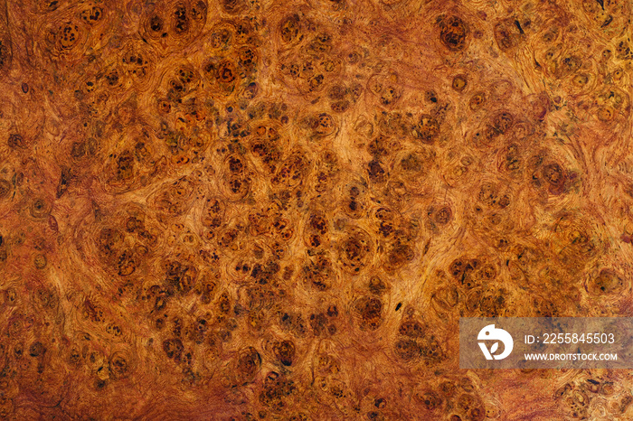 Nature Afzelia burl wood striped are wooden beautiful pattern for crafts or art background