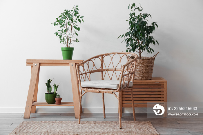 Interior of modern room with table, armchair and houseplants