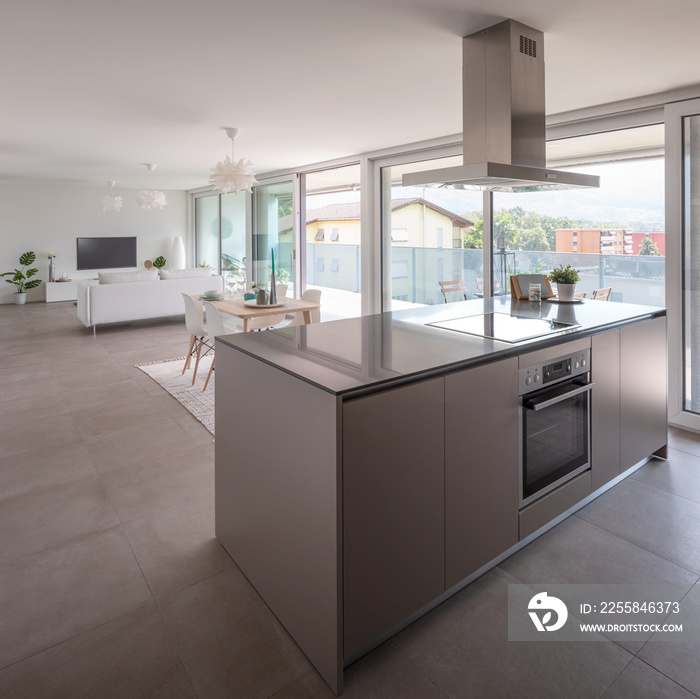 Modern kitchen with island, oven, induction plate and hood. Behind the table and sofa