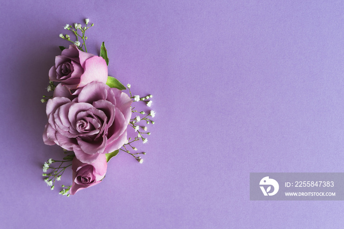 Purple roses with white flowers on purple background. Copy space.