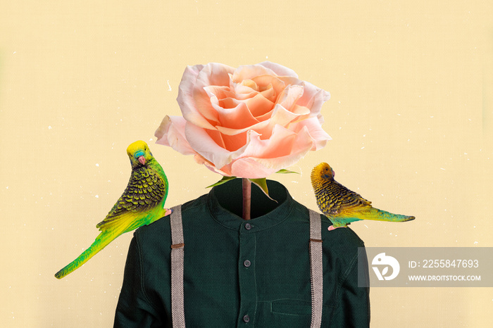 Creative collage of elegant person rose bud face parrots sit shoulders holiday anniversary celebrati