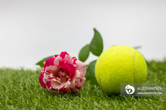 Tennis Valentines Day with rose are on green grass