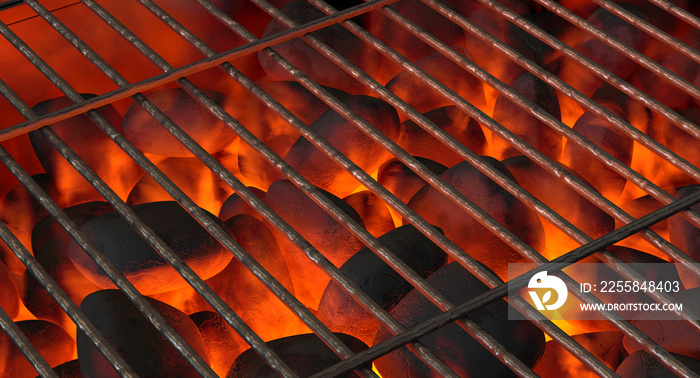 Charcoal Fire And Grid