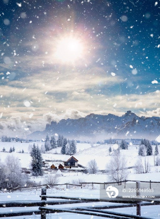 Christmas background with snowy fir trees and mountains in heavy blizzard.