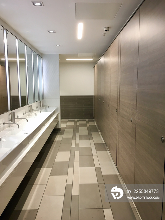 Ladies public bathroom with wash basins and mirrors. No people and in a vertical format - UK