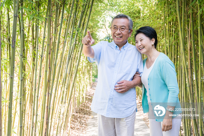 一对老夫妻在竹林散步